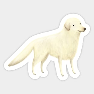 Golden Retreiver Portrait Sticker